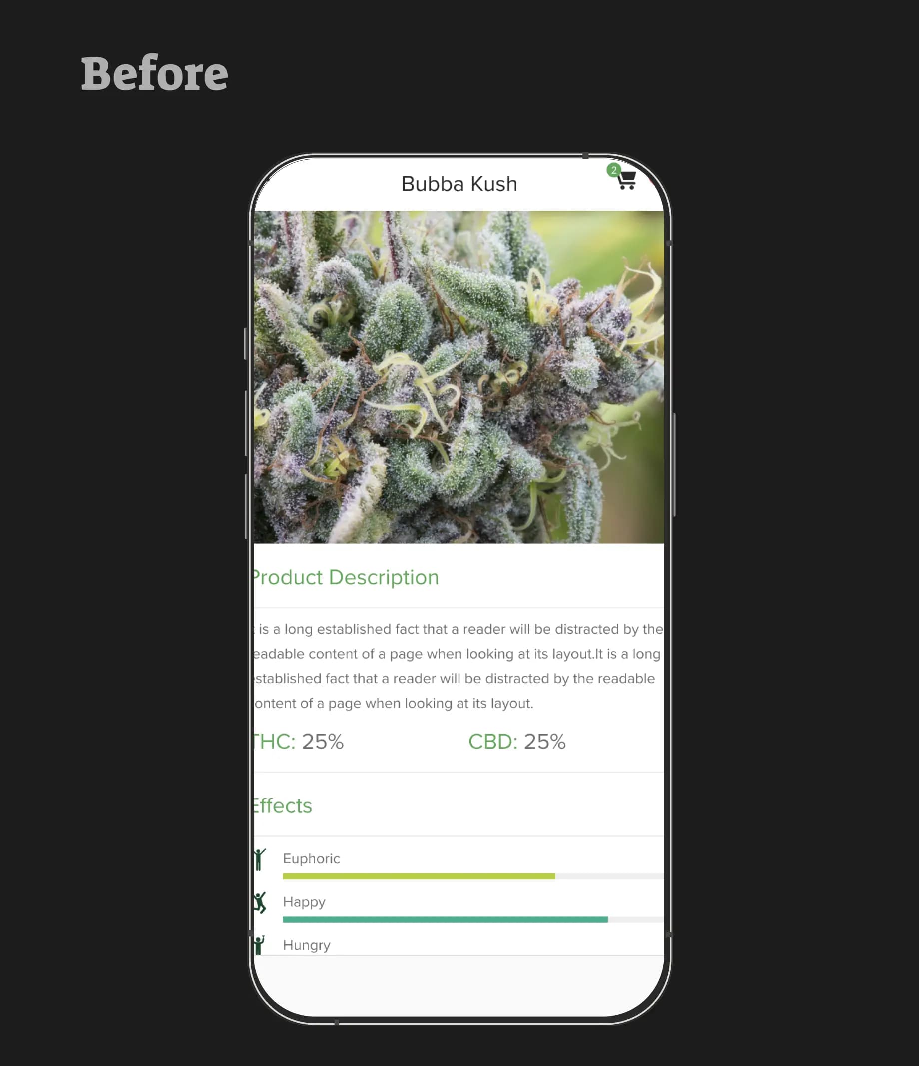 Expert Delivery App Development
